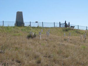 Montana 2012 and Other Stuff 131