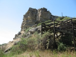 Montana 2012 and Other Stuff 132