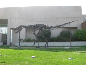 Montana 2012 and Other Stuff 261