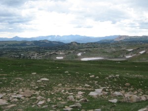 Montana 2012 and Other Stuff 309