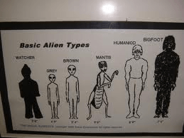 I cheated on this one. This is a picture from my blog that showed up on the first line.