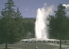 Old Faithful