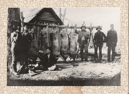Hog Killing