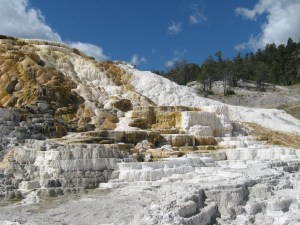 Montana 2012 and Other Stuff 275