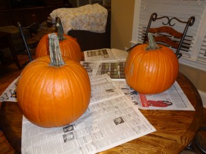 Pumpkins and Dogs 001