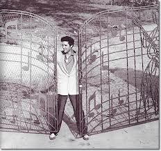 Elvis Gate