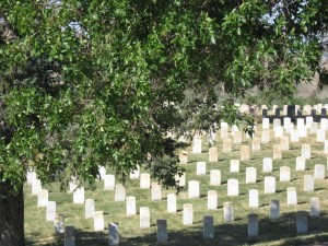 Montana 2012 and Other Stuff 123